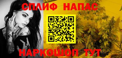 apvp Камышлов
