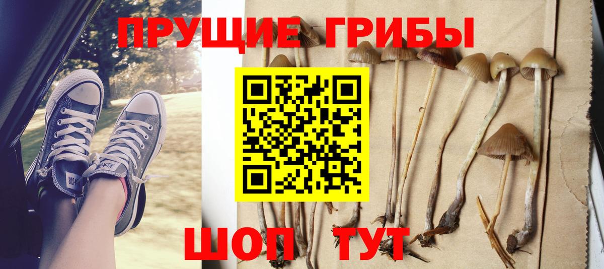 Рузаевка  Псилоцибиновые грибы GOLDEN TEACHER  Вход с VPN 